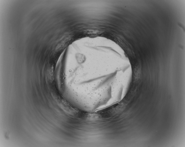 X0000100760376200807101733
