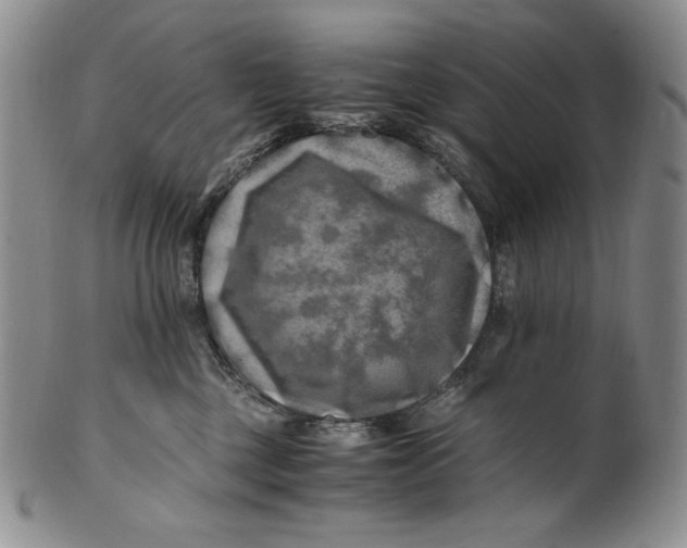 X0000100760377200807101733