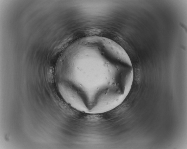 X0000100760378200807101734