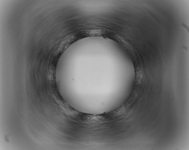 X0000100760379200807101734