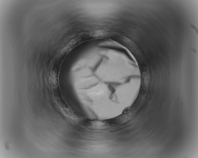 X0000100760380200807101734
