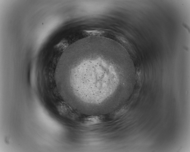 X0000100760381200807101734