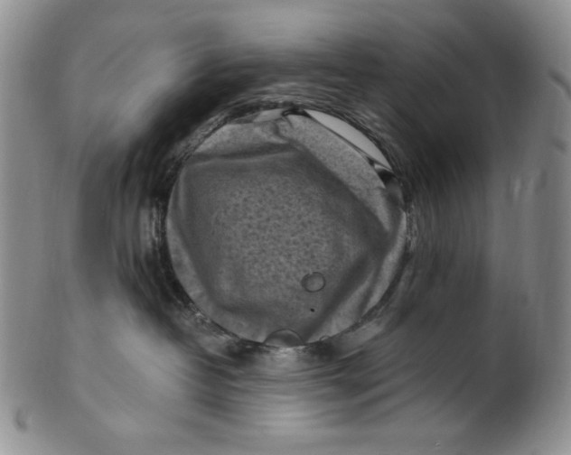 X0000100760382200807101734