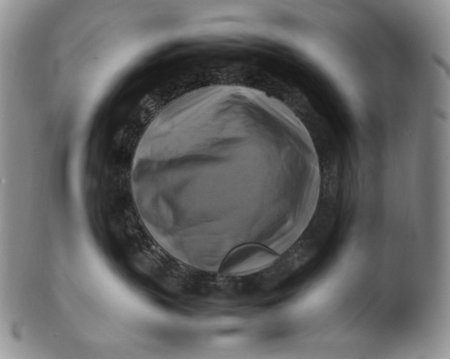X0000100760383200807101734