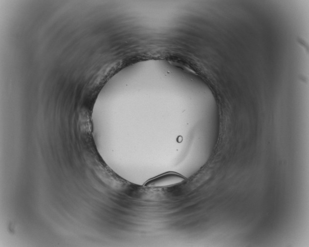 X0000100760384200807101734