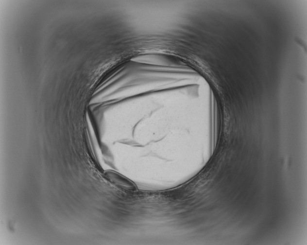 X0000100760385200807101733