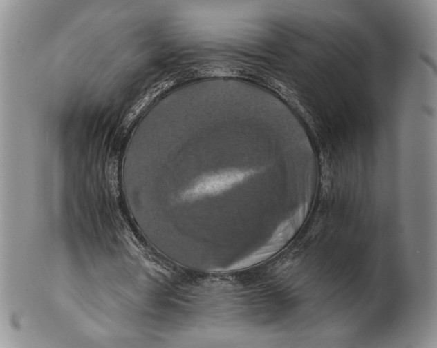 X0000100760386200807101733