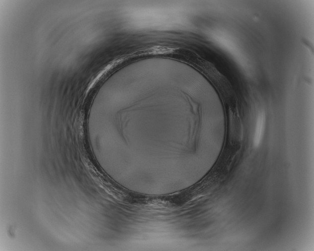 X0000100760387200807101733