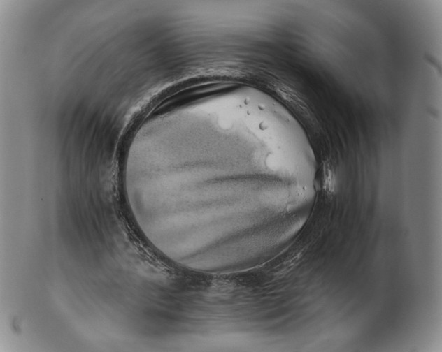 X0000100760388200807101733