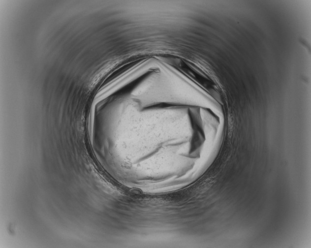 X0000100760389200807101733
