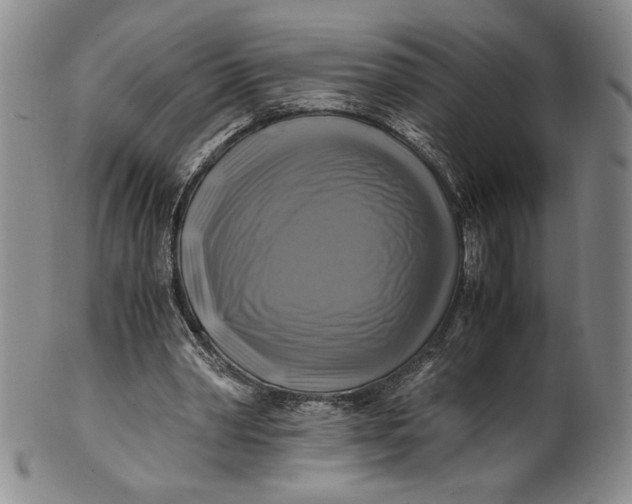 X0000100760390200807101733