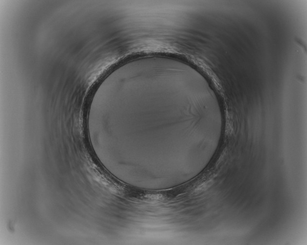 X0000100760391200807101733