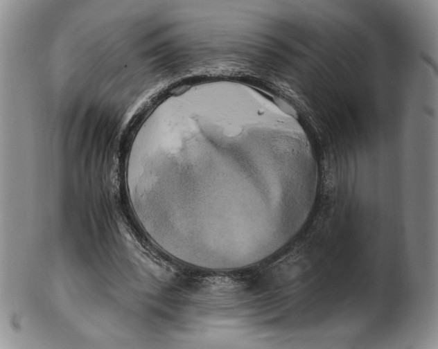 X0000100760392200807101733