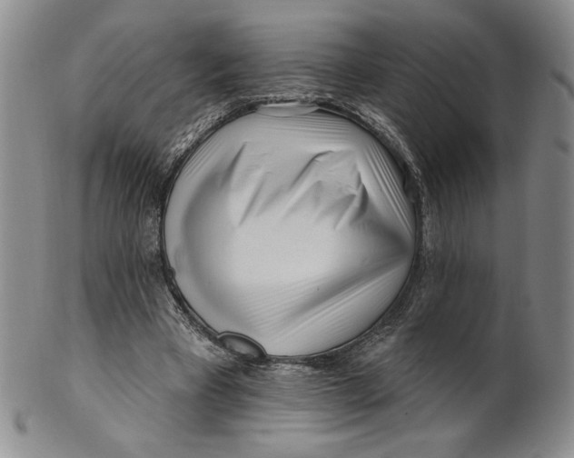 X0000100760393200807101733