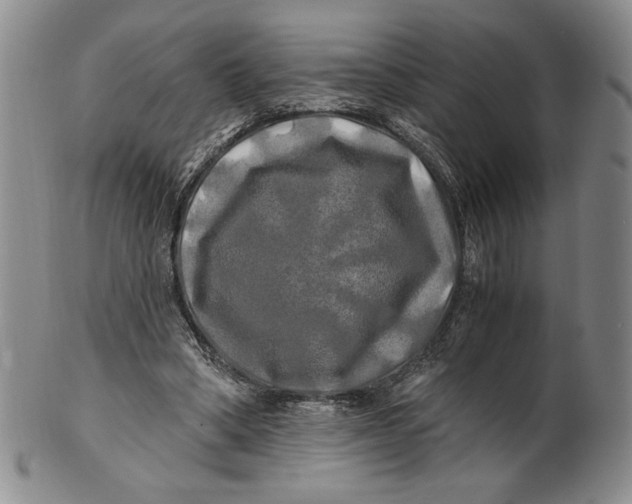 X0000100760394200807101733