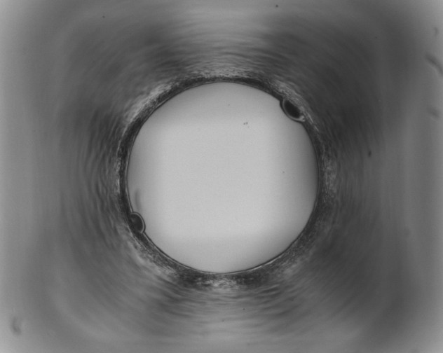 X0000100760395200807101733