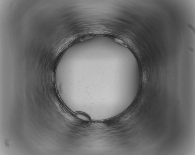 X0000100760397200807101733