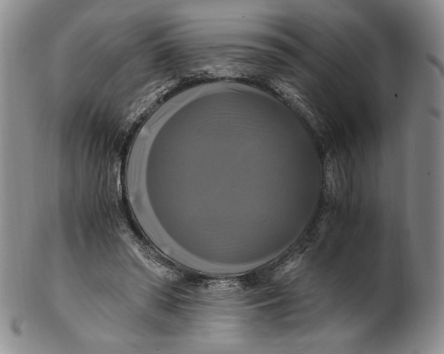 X0000100760398200807101733