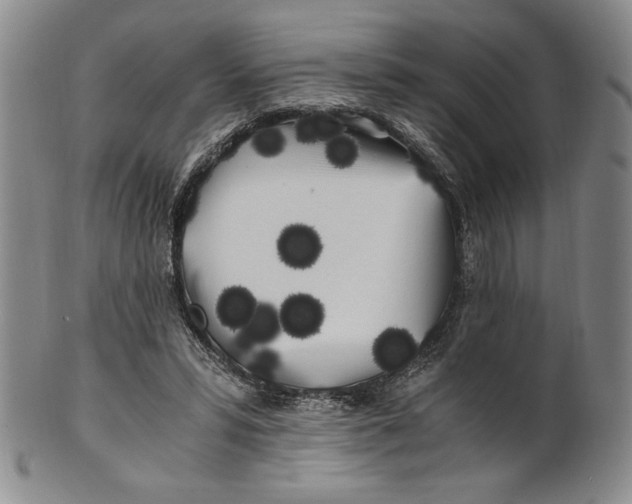 X0000100760399200807101733