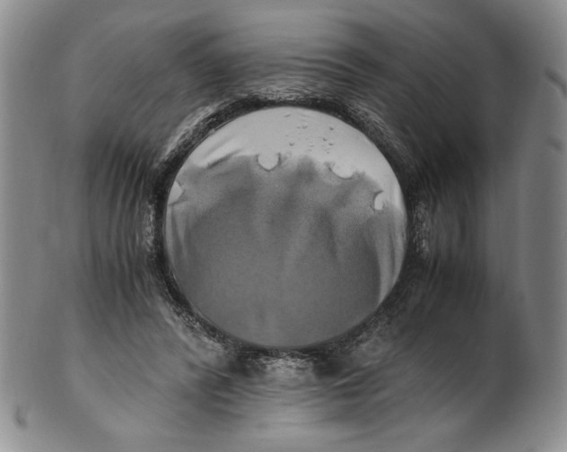 X0000100760400200807101733