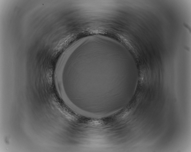 X0000100760402200807101733
