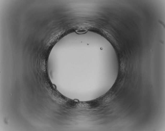 X0000100760403200807101733