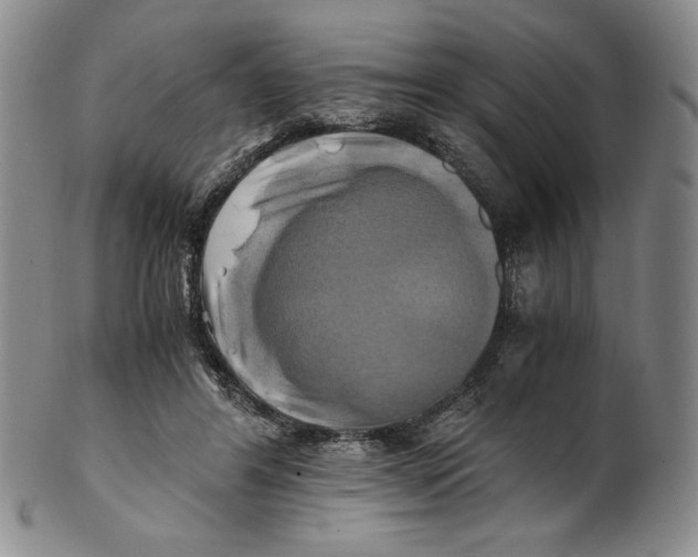 X0000100760404200807101732