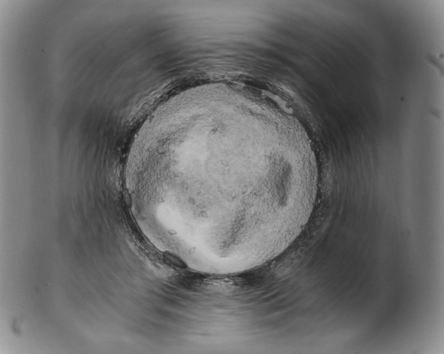 X0000100760405200807101732