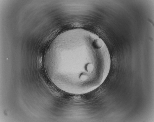 X0000100760406200807101732