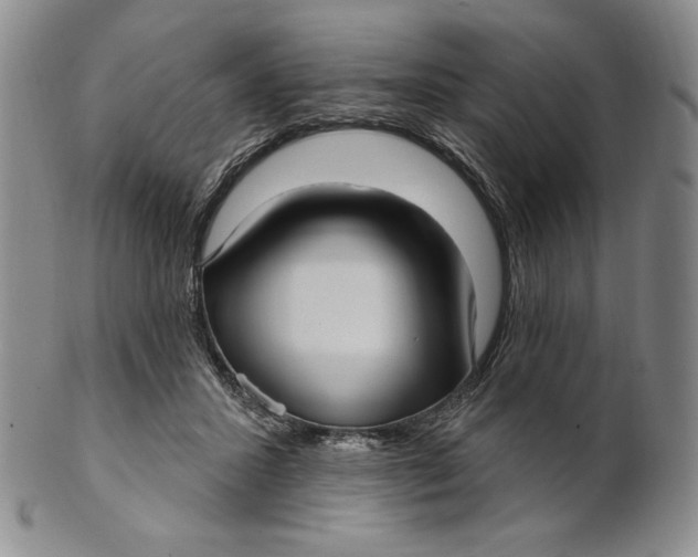 X0000100760407200807101732