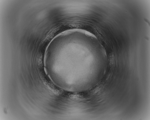 X0000100760408200807101732