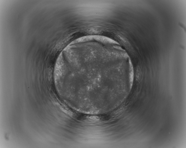 X0000100760409200807101732