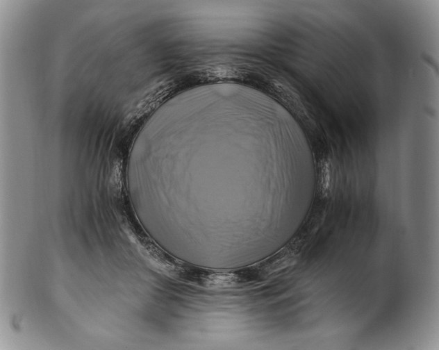 X0000100760410200807101732