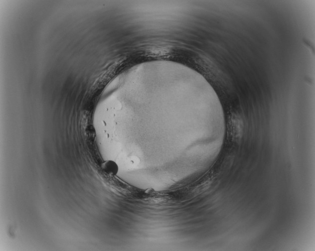 X0000100760412200807101732