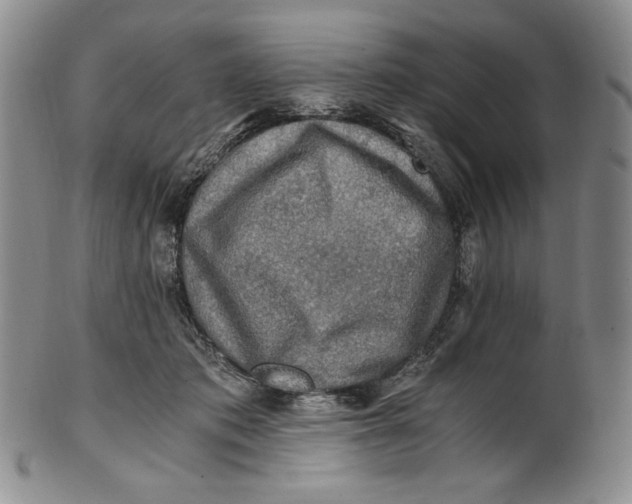 X0000100760413200807101732