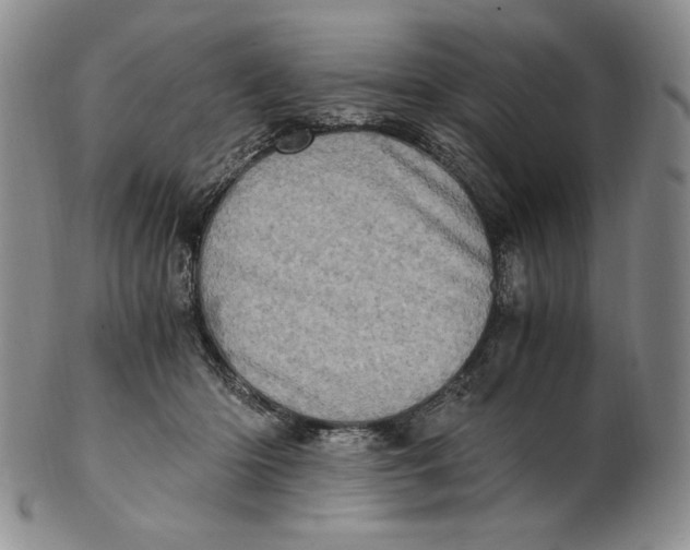 X0000100760414200807101732