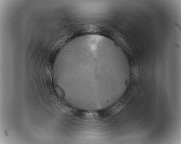 X0000100760415200807101732