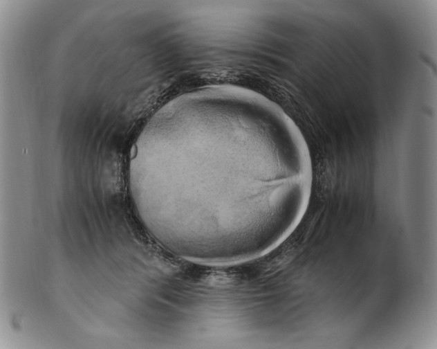 X0000100760416200807101732
