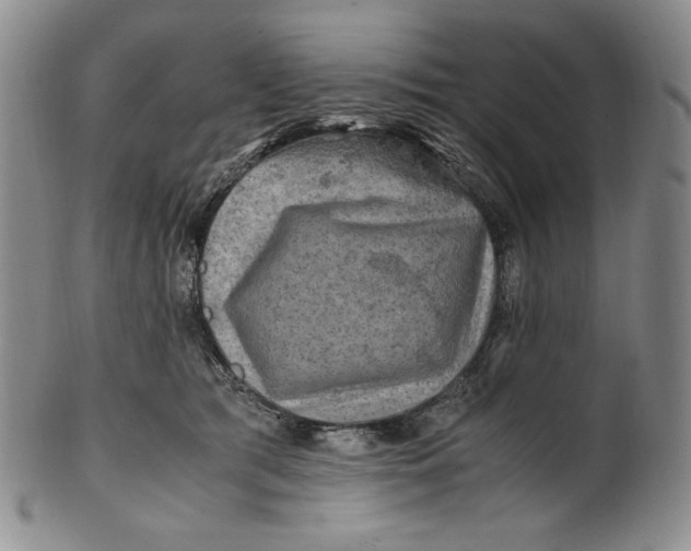 X0000100760417200807101732