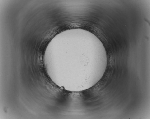 X0000100760418200807101732