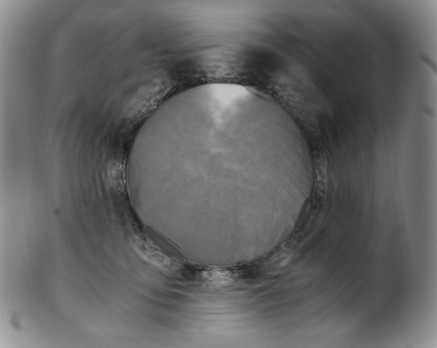 X0000100760419200807101732