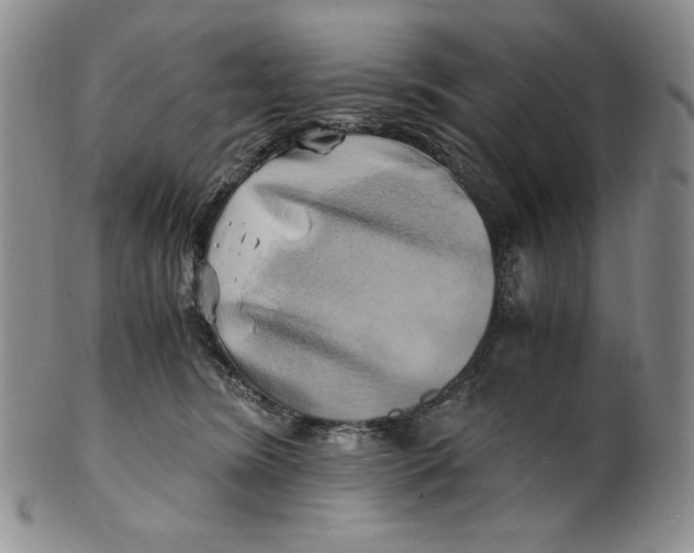 X0000100760420200807101732