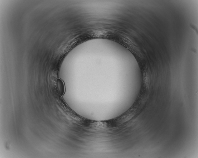 X0000100760421200807101732