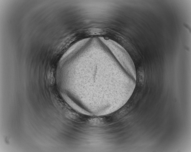 X0000100760422200807101732