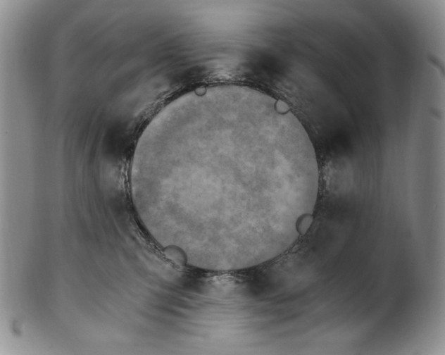 X0000100760423200807101732