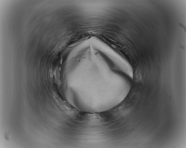 X0000100760424200807101732