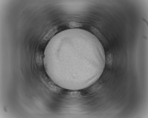 X0000100760426200807101732