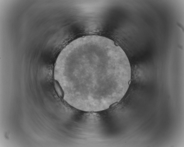 X0000100760427200807101732