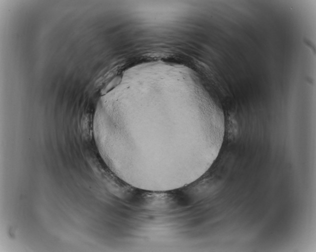 X0000100760428200807101732