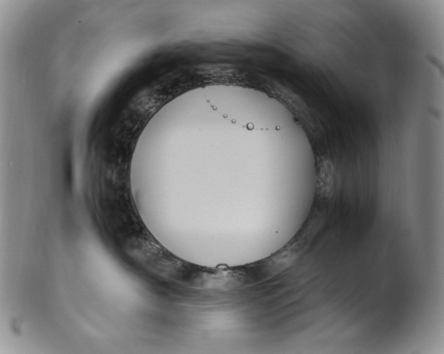 X0000100760430200807101732